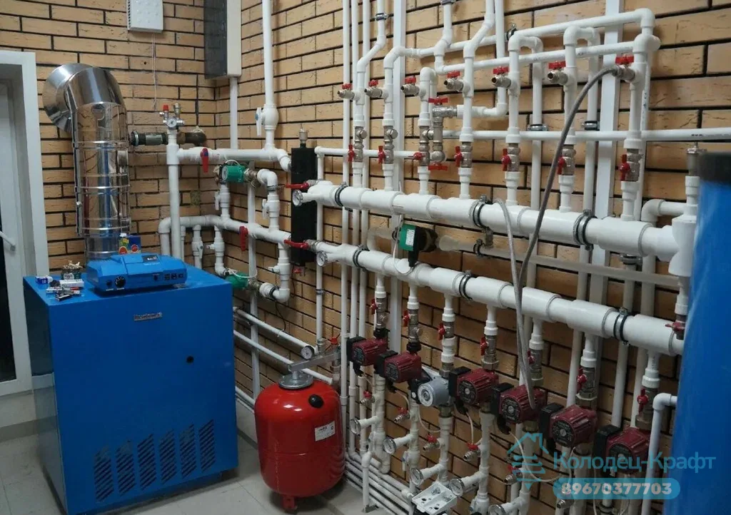 Фото проекта — Раиса